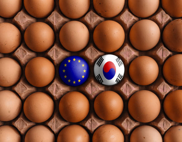 istock European Union EU and south korea flags on eggs 1208374756