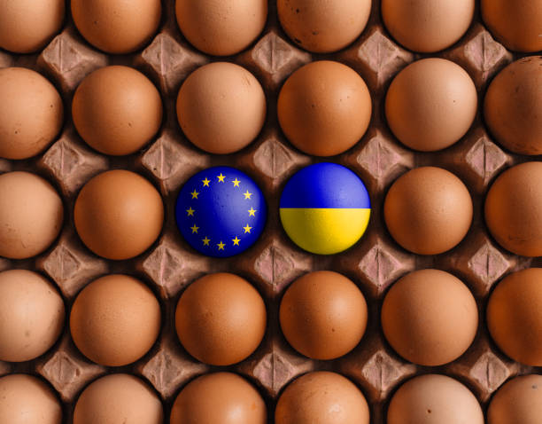 istock European Union EU and Ukraine flags on eggs with mask 1208374882