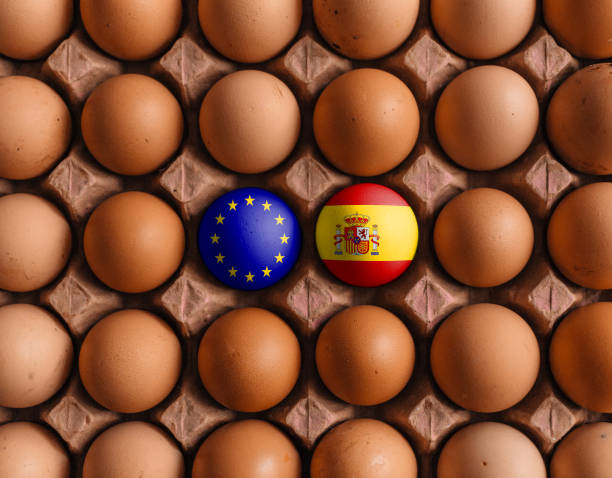 istock European Union EU and spain spanish flags on eggs 1208374924