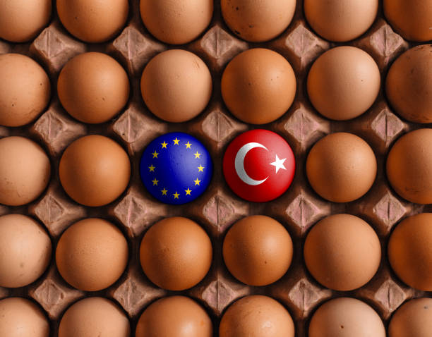 istock European Union EU and Turk Turkey Turkish flags on eggs 1208375576