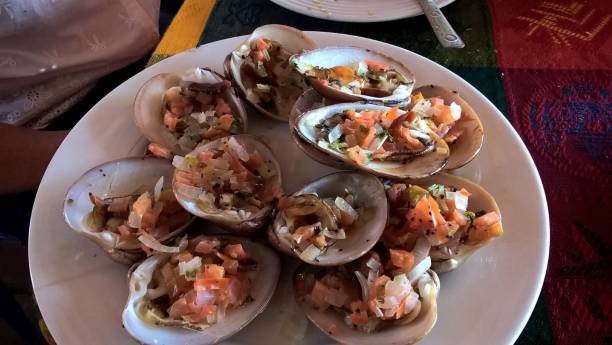 baja california clams (almejas chocolatas) loreto, mexico - concho imagens e fotografias de stock