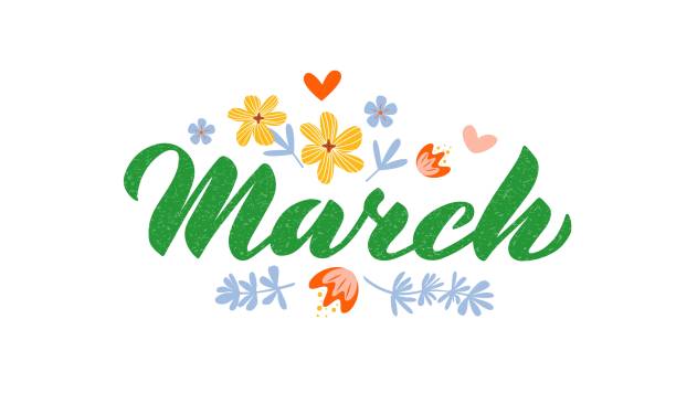 March - Hand drawn lettering March - Hand drawn lettering month name. Hand written month March for calendar, monthly logo, bullet journal or monthly organizer. Vector illustration isolated on white. EPS 10 month stock illustrations