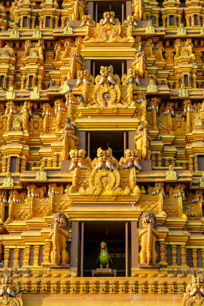 istock Jaffna in Sri Lanka 1208377596
