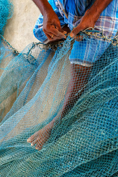 istock Jaffna in Sri Lanka 1208377604
