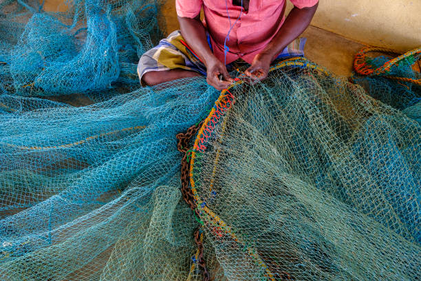 istock Jaffna in Sri Lanka 1208377620