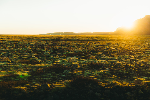 Dramatic view of bright sunny sunset above the volcanic mountain landscape and lava fields with moss in South Iceland
