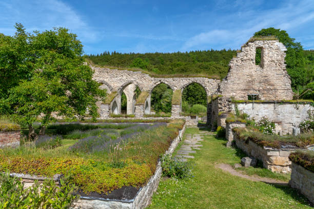 istock Remaining ruin of the medieval monastery in Alvastra 1208378859