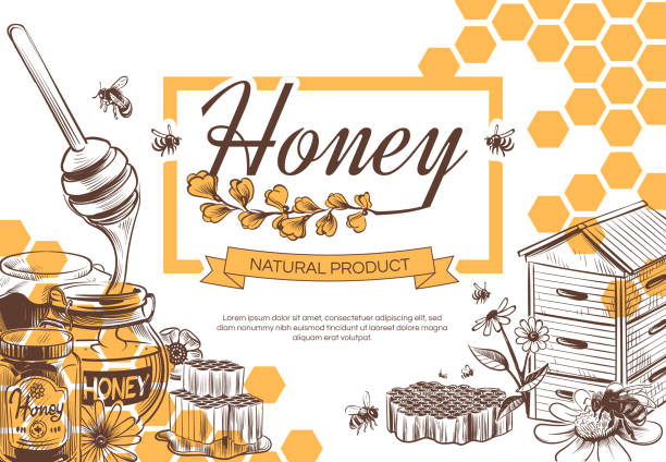 skizze honig hintergrund. hand gezeichnet süße dessert natürliche bio-wabe, bienenwachs und bienen, imkerei banner, poster vektor-design - activity animal bee beeswax stock-grafiken, -clipart, -cartoons und -symbole