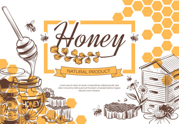 Sketch honey background. Hand drawn sweet dessert natural organic honeycomb, beeswax and bee, beekeeping banner, poster vector design Sketch honey background. Hand drawn tasty sweet dessert natural organic honeycomb, beeswax and bee, beekeeping banner, poster vintage vector design german chamomile nature plant chamomile plant stock illustrations