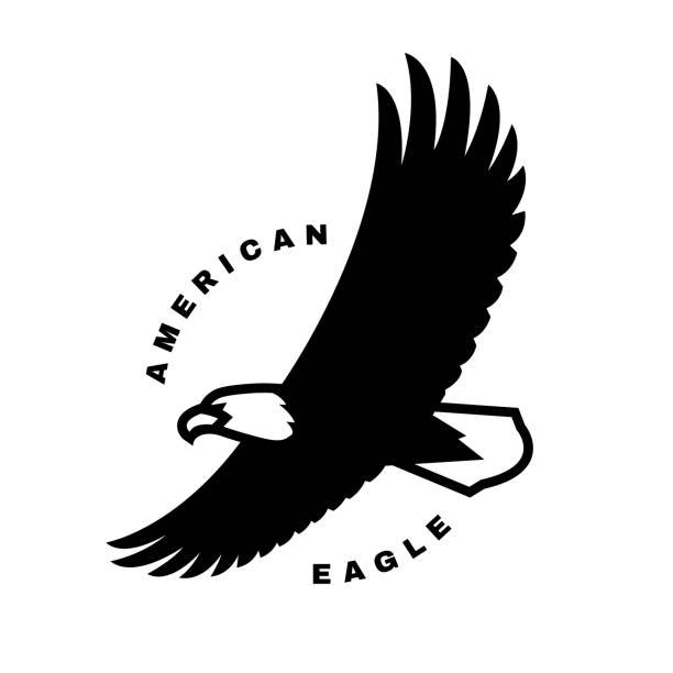 american eagle. fliegende vogel-logo, symbol. vektor-illustration. - adler stock-grafiken, -clipart, -cartoons und -symbole