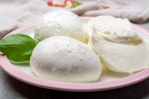 istock Cheese collection, balls Italian soft white cheese mozzarella 1208380361