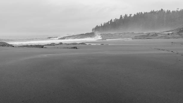 istock Lonely sandy beach in the Pacific Rim National Park 1208380818