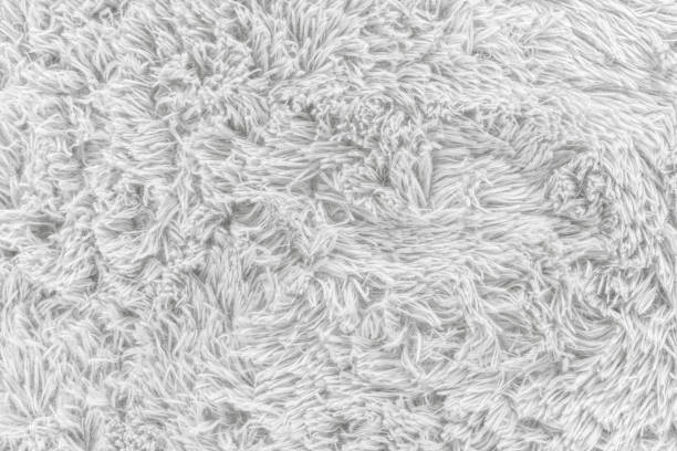 istock Close up white fur texture or carpet for background 1208381388