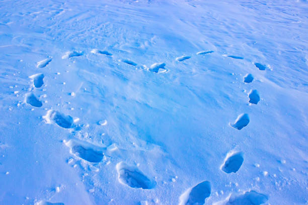 istock Heart trampled on snow in winter time. 1208382115