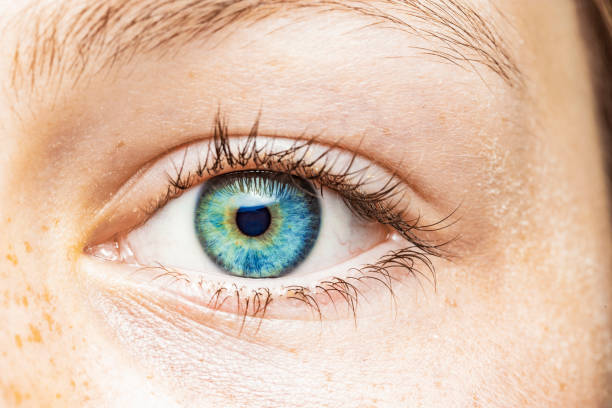 istock Close-up of a female eye with blue iris 1208383702