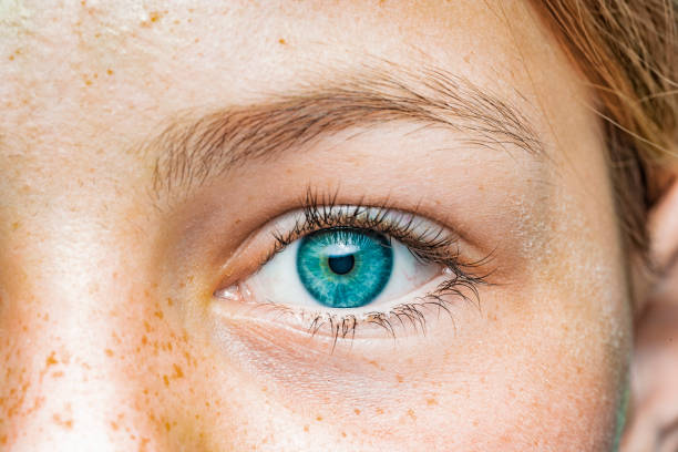 파란 홍채를 가진 여성의 눈의 클로즈업 - iris 뉴스 사진 이미지