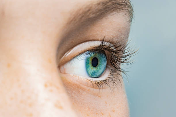 Picture of a Rgp contact lens that fits with an eye and viewing under cobalt blue light with fluorescence dye.