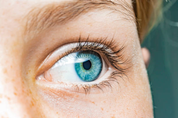 istock Close-up of a female eye with blue iris 1208383729