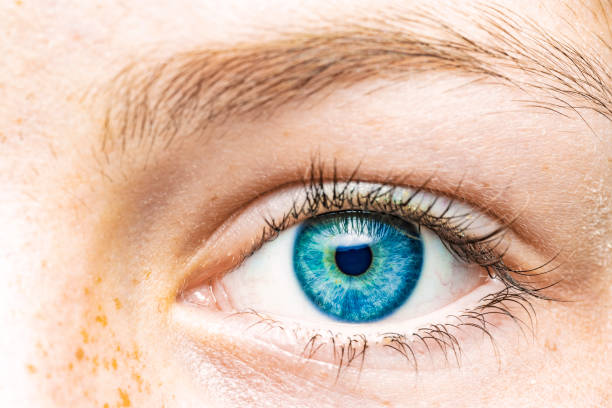 istock Close-up of a female eye with blue iris 1208383738