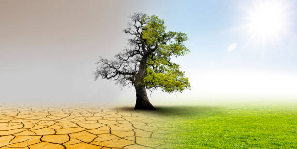 istock Climate change - landscape with dry earth, Meadow and oak tree 1208385179