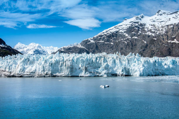 istock landscape of glacier bay in alaska 1208386080