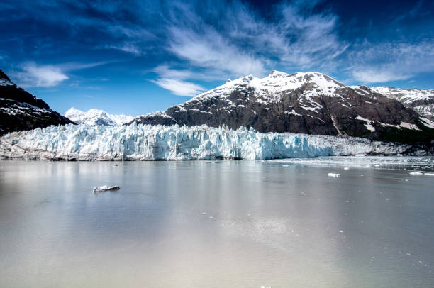 paisaje de la bahía glaciar en alaska - glacier bay national park fotografías e imágenes de stock