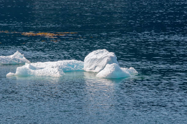 アラスカの冷たい水の中の氷山 - glacier alaska iceberg melting ストックフォトと画像