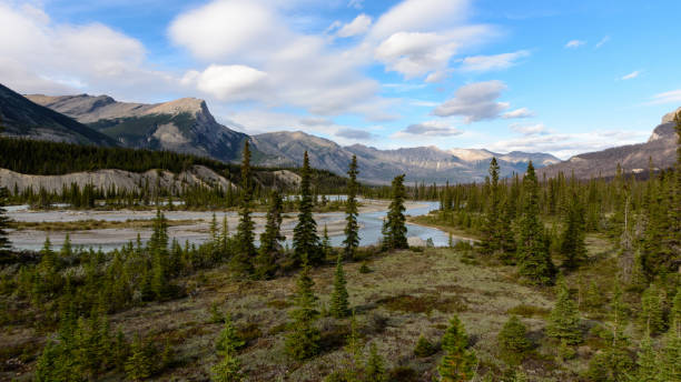 istock Wide valley in the Rocky Mountains 1208387100