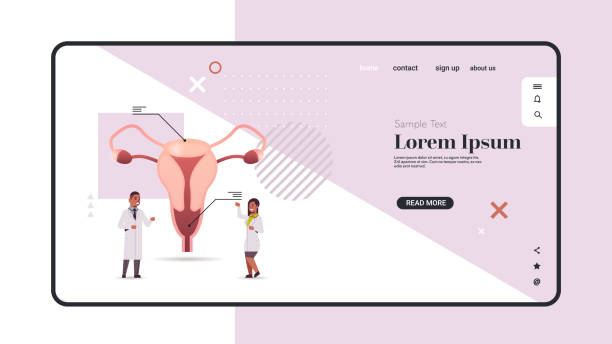 istock doctors couple examining female reproductive system uterus cervix ovaries fallopian tubes medical consultation human internal organ inspection treatment concept horizontal copy space full length vector illustration 1208387928