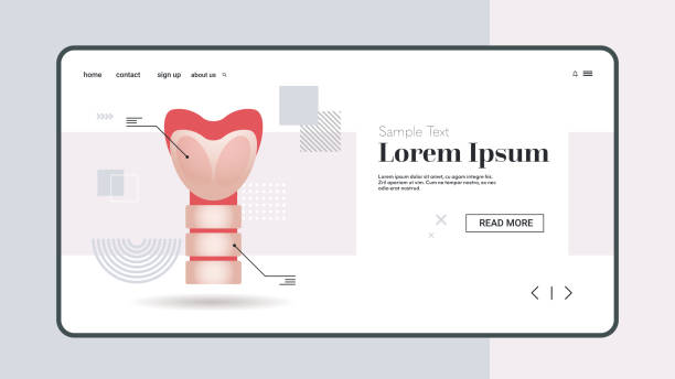 istock thyroid gland with trachea and larynx endocrinology system or hormone secretion human internal organ anatomy healthcare medical concept horizontal copy space 1208389552