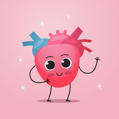 Funny Heart Character Cute Human Body Internal Organ Mascot Anatomy Healthcare Medical Concept Flat Stock Illustration - Download Image Now - iStock Funny Heart Character Cute Human Body Internal Organ Mascot Anatomy Healthcare Medical Concept Flat Stock Illustration - Download Image Now - iStock