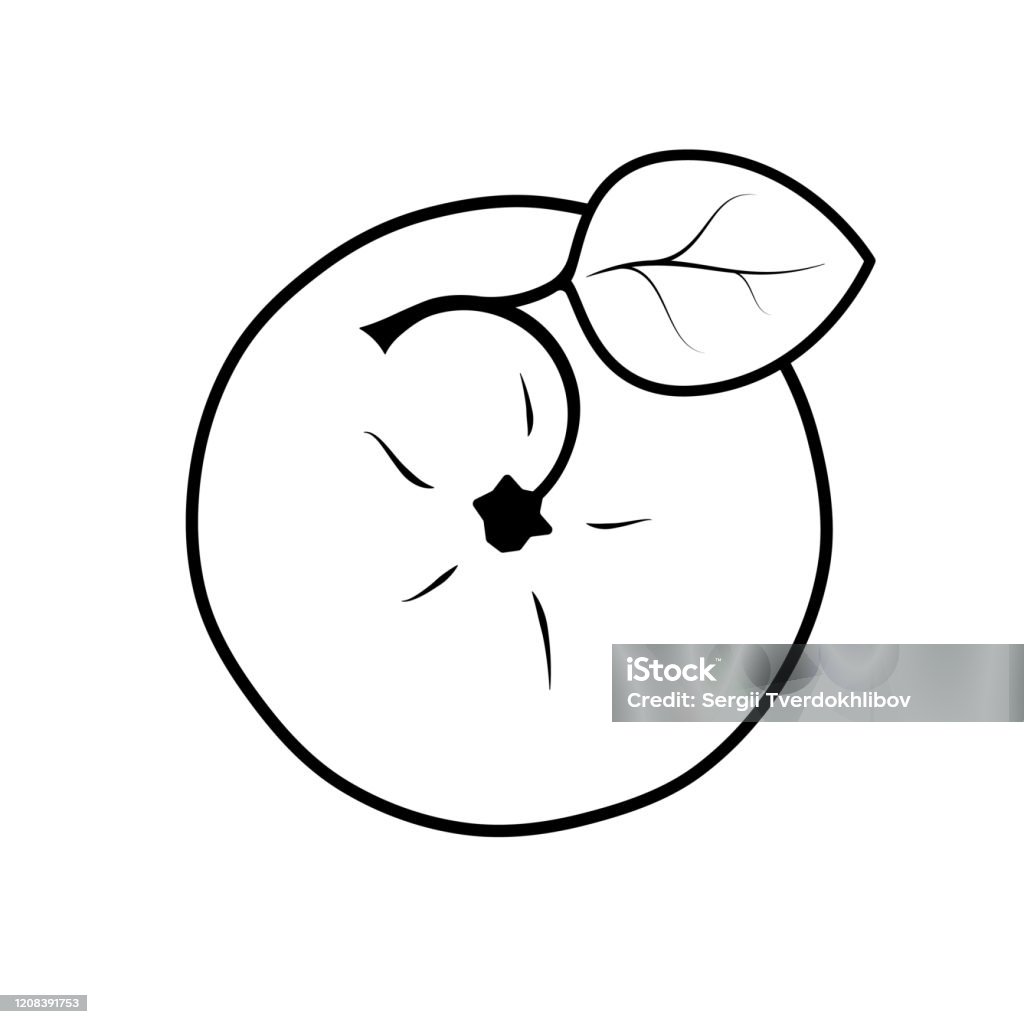 Apple Vector Bw Vector Monochrome Illustration Of Apple Logo Black And White Stock ...