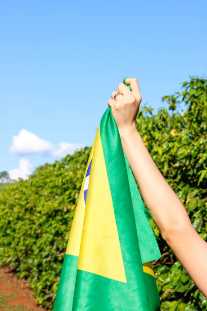 istock Holding the Brazilian flag in the wind 1208392248
