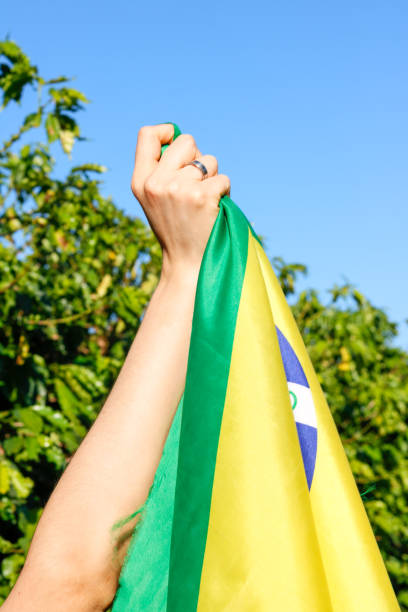 istock Holding the Brazilian flag in the wind 1208392251