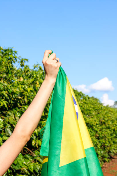 istock Holding the Brazilian flag in the wind 1208392256