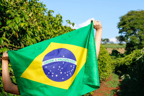 istock Holding the Brazilian flag in the wind 1208392261