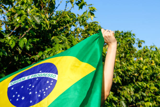 istock Holding the Brazilian flag in the wind 1208392263