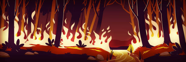 Burning Wildfire At Night Fire In Forest Stock Illustration - Download  Image Now - Forest Fire, Tree, Wood - Material - iStock