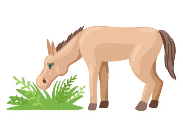 Vector illustration of Foal or a donkey grazes in a meadow, eats grass. Vector character.