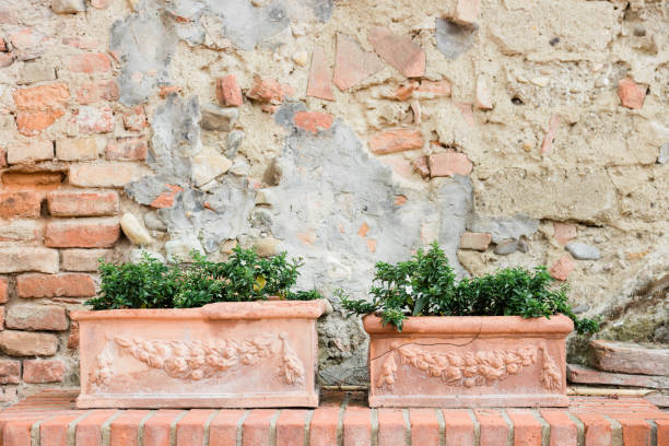 istock Close-up of flower pots by the rustic wall 1208396928