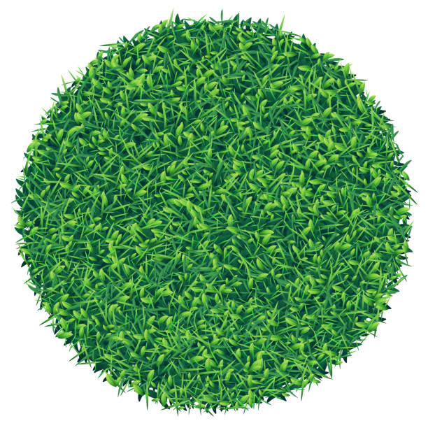 ilustrações de stock, clip art, desenhos animados e ícones de square piece of green grass - football field backgrounds aerial view sport