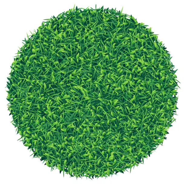 Vector illustration of Square piece of green grass