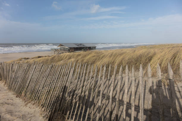 istock coast in The Hague Netherlands 1208398416