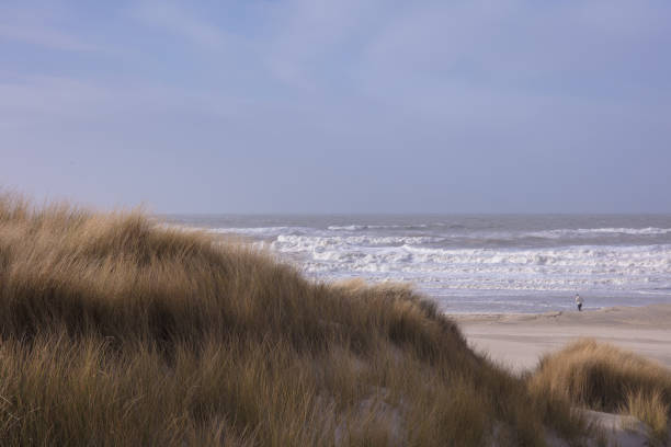 istock coast in The Hague Netherlands 1208398427