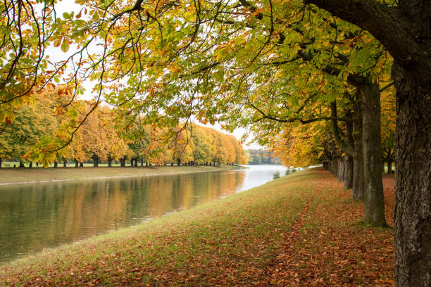 istock autumn parkview with shore of a small lake 1208398767