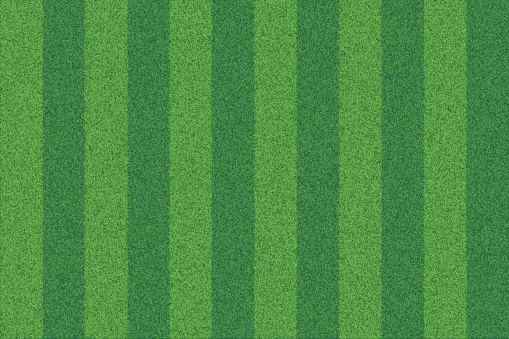 Green grass striped realistic textured background