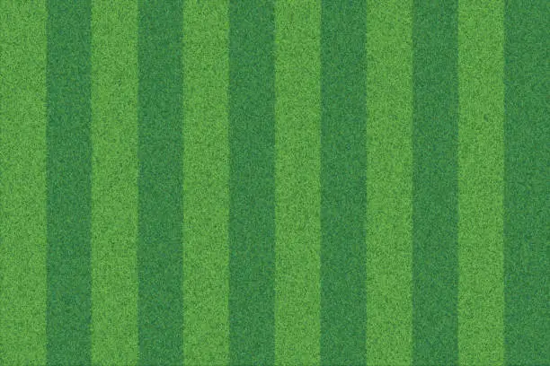 Vector illustration of Green grass striped realistic textured background