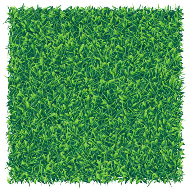 ilustrações de stock, clip art, desenhos animados e ícones de square piece of green grass, top view - football field backgrounds aerial view sport