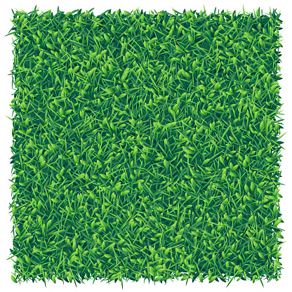 istock Square piece of green grass, top view 1208398912