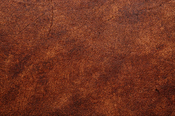 istock Dark brown vegetable tanned leather closeup, showing full frame grain texture 1208399064